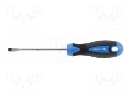 HÖGERT TECHNIK Destornillador plano estándar SL 5 100mm