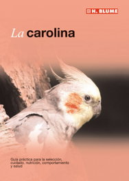 H.BLUME Carolina (Mascotas)
