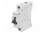 EATON ELECTRIC Interruptor magnetotérmico FAZ 5A 1 polo 15kA