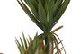 DKD Home Decor Planta Tropical Verde Agave Century 50 x 150 x 50 cm (2 Unidades)