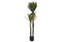 DKD Home Decor Planta Agave Century Verde 50x50x150 cm