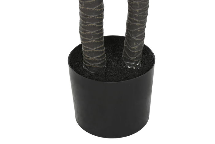 DKD Home Decor Planta Tropical Verde Agave Century 50 x 150 x 50 cm (2 Unidades)