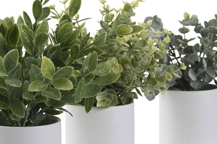DKD Home Decor Set de 3 Plantas Decorativas Verdes PE DKD Home Decor Set de 3 Plantas Decorativas Verdes PE