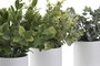 DKD Home Decor Set de 3 Plantas Decorativas Verdes PE