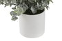 DKD Home Decor Set de 3 Plantas Decorativas Verdes PE