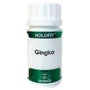 EQUISALUD HOLOFIT ginkgo 180 cápsulas