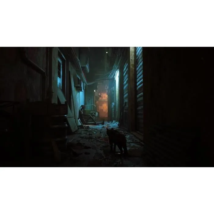 Just For Games Stray - Juego de Nintendo Switch