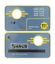 Fallout Réplica Security Keycard Vault 111 Limited Edition 11 cm