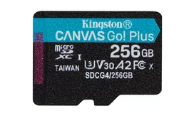 Kingston Canvas Go Plus 256 GB microSDXC