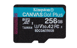 Kingston Canvas Go Plus 256 GB microSDXC