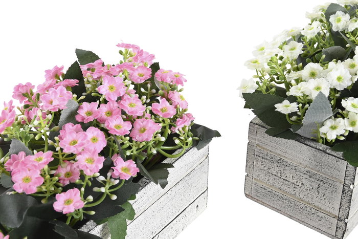 DKD Home Decor Set de 2 Plantas Decorativas en Rosa y Blanco