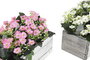 DKD Home Decor Set de 2 Plantas Decorativas en Rosa y Blanco