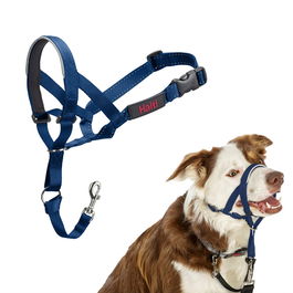 Bozal Company of Animals COBALT Azul 2