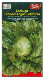 FITO HORTICOLAS Semillas de Lechuga G. Lagos California