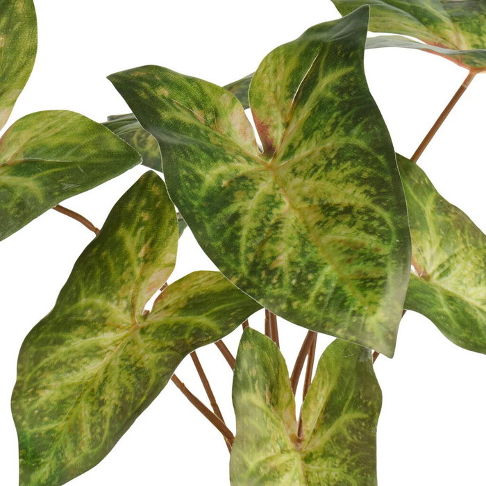 Day Planta Artificial Caladium en Maceta Negra, Verde, 38 cm de Altura, Ideal para Interiores sin Luz Natural