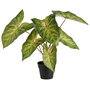 Day Planta Artificial Caladium en Maceta Negra, Verde, 38 cm de Altura, Ideal para Interiores sin Luz Natural