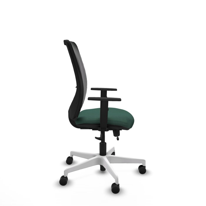 PIQUERAS Y CRESPO Silla de oficina Zulema con mecanismo Sincro/Traslack, Verde botella y Negro PIQUERAS Y CRESPO Silla de oficina Zulema con mecanismo Sincro/Traslack, Verde botella y Negro
