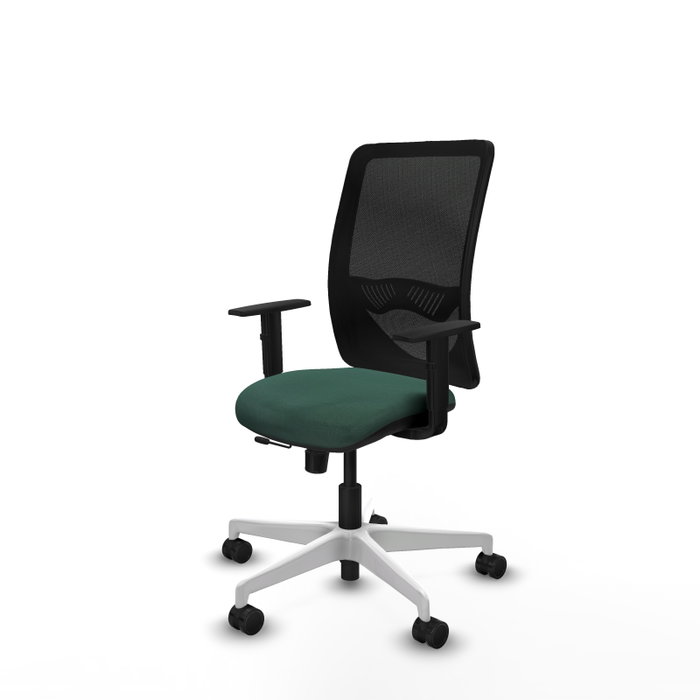PIQUERAS Y CRESPO Silla de oficina Zulema con mecanismo Sincro/Traslack, Verde botella y Negro PIQUERAS Y CRESPO Silla de oficina Zulema con mecanismo Sincro/Traslack, Verde botella y Negro