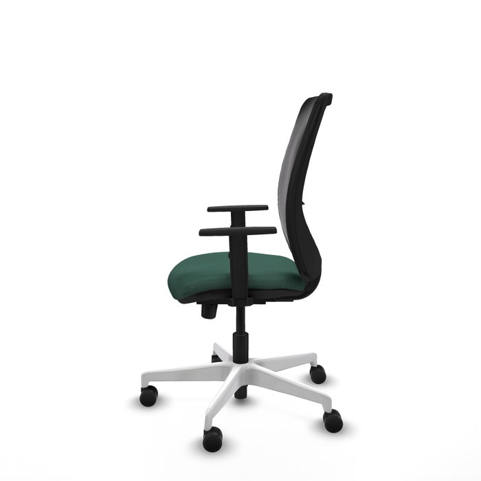 PIQUERAS Y CRESPO Silla de oficina Zulema con mecanismo Sincro/Traslack, Verde botella y Negro PIQUERAS Y CRESPO Silla de oficina Zulema con mecanismo Sincro/Traslack, Verde botella y Negro