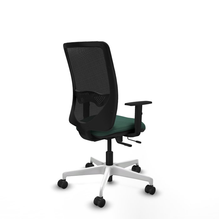 PIQUERAS Y CRESPO Silla de oficina Zulema con mecanismo Sincro/Traslack, Verde botella y Negro PIQUERAS Y CRESPO Silla de oficina Zulema con mecanismo Sincro/Traslack, Verde botella y Negro