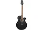 Takamine GF30 E/A Folk Cutaway - Negra