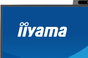 Iiyama ProLite XB2797QSNPH-B1 Monitor 27" QHD IPS Cámara 5MP Micrófono USB-C KVM Ajustable Altura 15cm Negro