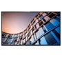 Philips 65BFL2214/12 Monitor de señalización 65 pulg 4K Ultra HD Android TV