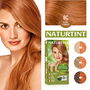 Naturtint Tinte Sin Amoniaco Rubio Cobrizo 8C 170 ml