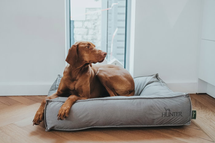 Hunter Cama Lancaster 80x60 cm Gris para Perros Acolchada