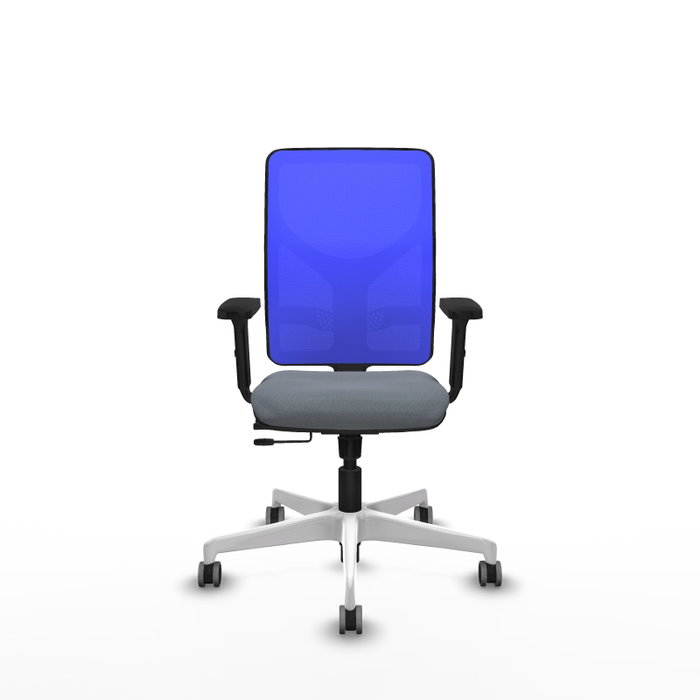 PIQUERAS Y CRESPO Silla de oficina Motilla con mecanismo Sincro/Traslack, Tela Gris y Malla Azul PIQUERAS Y CRESPO Silla de oficina Motilla con mecanismo Sincro/Traslack, Tela Gris y Malla Azul