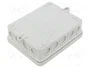 OBO BETTERMANN Caja de conexiones A 18 IP55 Gris claro