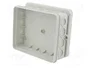 OBO BETTERMANN Caja de conexiones A 18 IP55 Gris claro