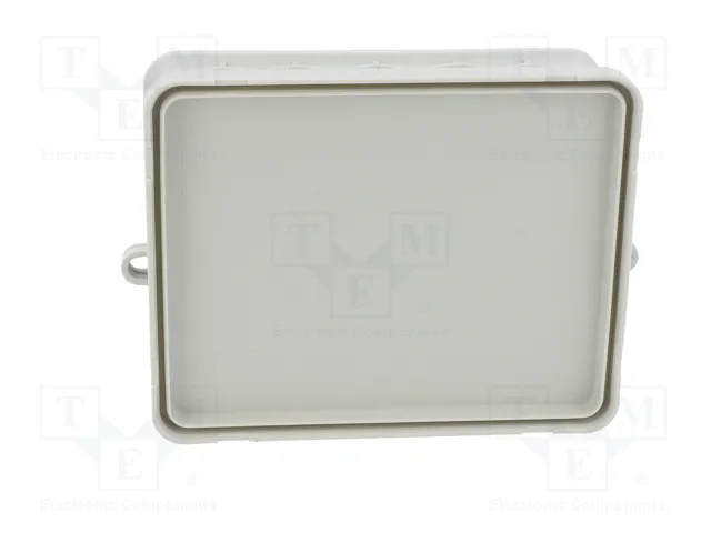 OBO BETTERMANN Caja de conexiones A 18 IP55 Gris claro