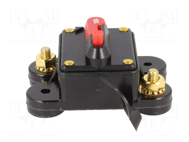 4CARMEDIA Fusible Automático de Coche 100A Retardado