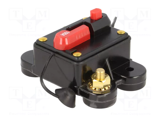 4CARMEDIA Fusible Automático de Coche 100A Retardado