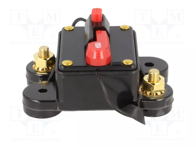 4CARMEDIA Fusible Automático de Coche 100A Retardado