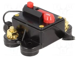 4CARMEDIA Fusible Automático de Coche 100A Retardado