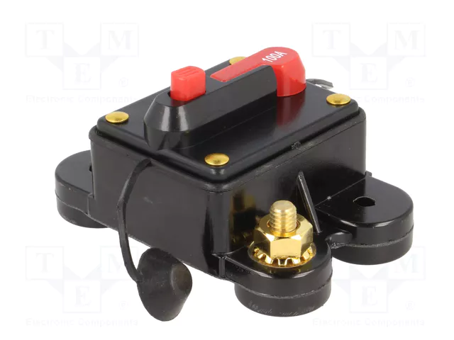 4CARMEDIA Fusible Automático de Coche 100A Retardado