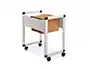 Rocada Carrito para Carpetas Colgantes Folio Extensible Gris Metalico +45 Carpetas DIN A4
