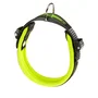 Ferplast Collar Ergofluo C25 Amarillo 51 cm
