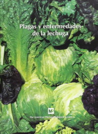 MUNDIPRENSA - Plagas y enfermedades de la lechuga