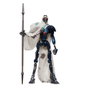 Hasbro Star Wars The Black Series MagnaGuard Figura 15 cm