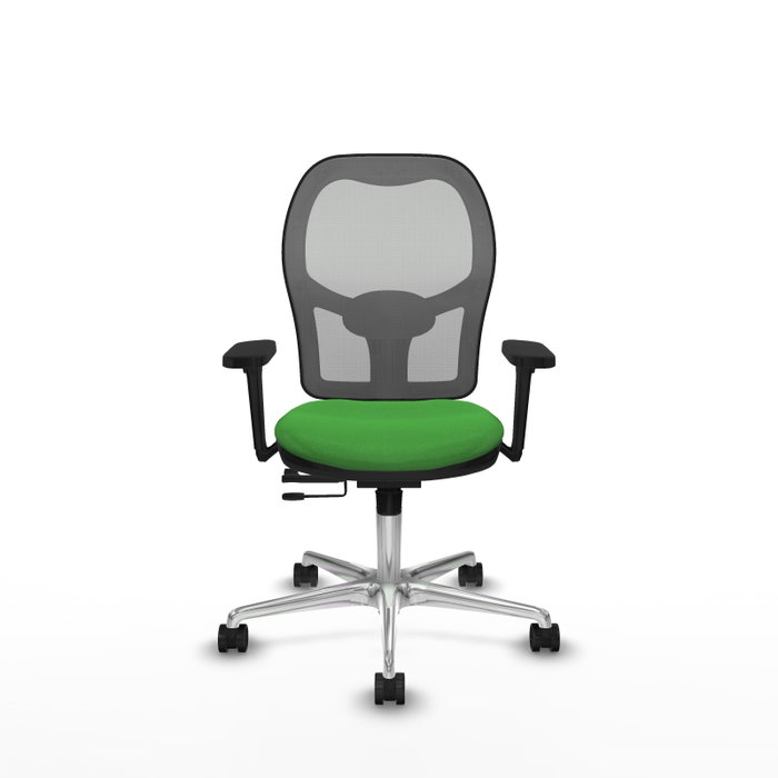 PIQUERAS Y CRESPO Silla de oficina Jorquera con mecanismo Sincro/Traslack, Verde y Gris PIQUERAS Y CRESPO Silla de oficina Jorquera con mecanismo Sincro/Traslack, Verde y Gris