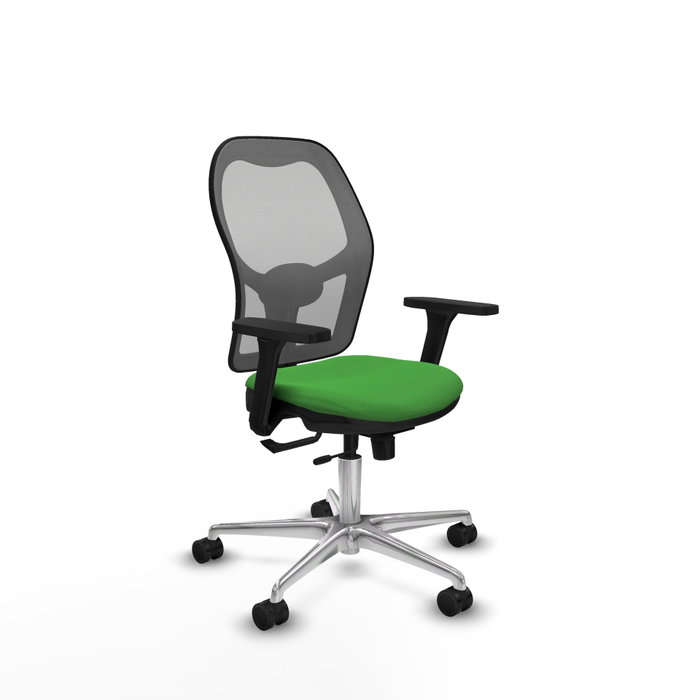 PIQUERAS Y CRESPO Silla de oficina Jorquera con mecanismo Sincro/Traslack, Verde y Gris PIQUERAS Y CRESPO Silla de oficina Jorquera con mecanismo Sincro/Traslack, Verde y Gris