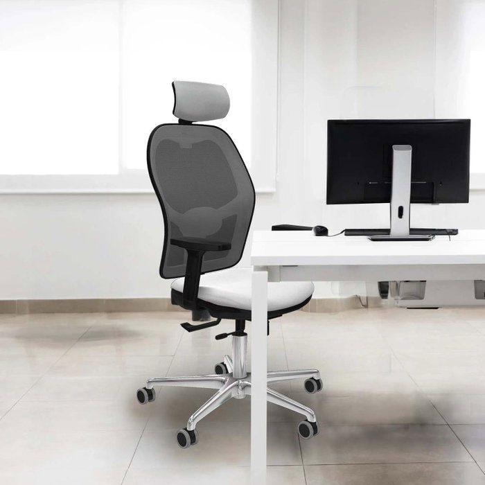 PIQUERAS Y CRESPO Silla de oficina Jorquera con mecanismo Sincro/Traslack, Verde petróleo y Blanco PIQUERAS Y CRESPO Silla de oficina Jorquera con mecanismo Sincro/Traslack, Verde petróleo y Blanco