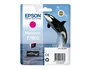 Epson SC-P600 - Tinta Original Ink-Jet SureColor Magenta Vivo - Cartucho de Impresión