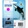 Epson Cartucho de Tinta Original T7603 Magenta Vivo para SureColor SC-P600