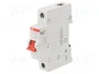 ABB SHD201/63 Interruptor de aislamiento 63A 240VAC 1 polo