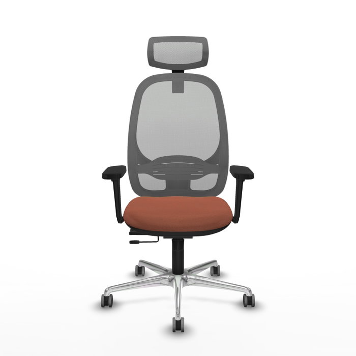 PIQUERAS Y CRESPO Silla de oficina Cilanco con mecanismo Sincro/Traslack Marrón y Gris PIQUERAS Y CRESPO Silla de oficina Cilanco con mecanismo Sincro/Traslack Marrón y Gris