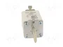 ETI POLAM Fusible NH1 de cerámica 25A 500VAC gF